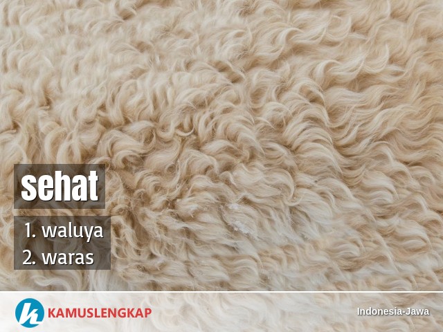Detail Bahasa Sansekerta Sehat Nomer 12