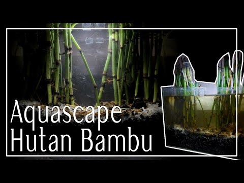 Detail Bambu Air Untuk Aquascape Nomer 5