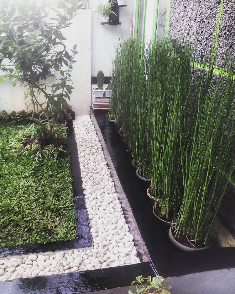 Detail Bambu Air Untuk Aquascape Nomer 53