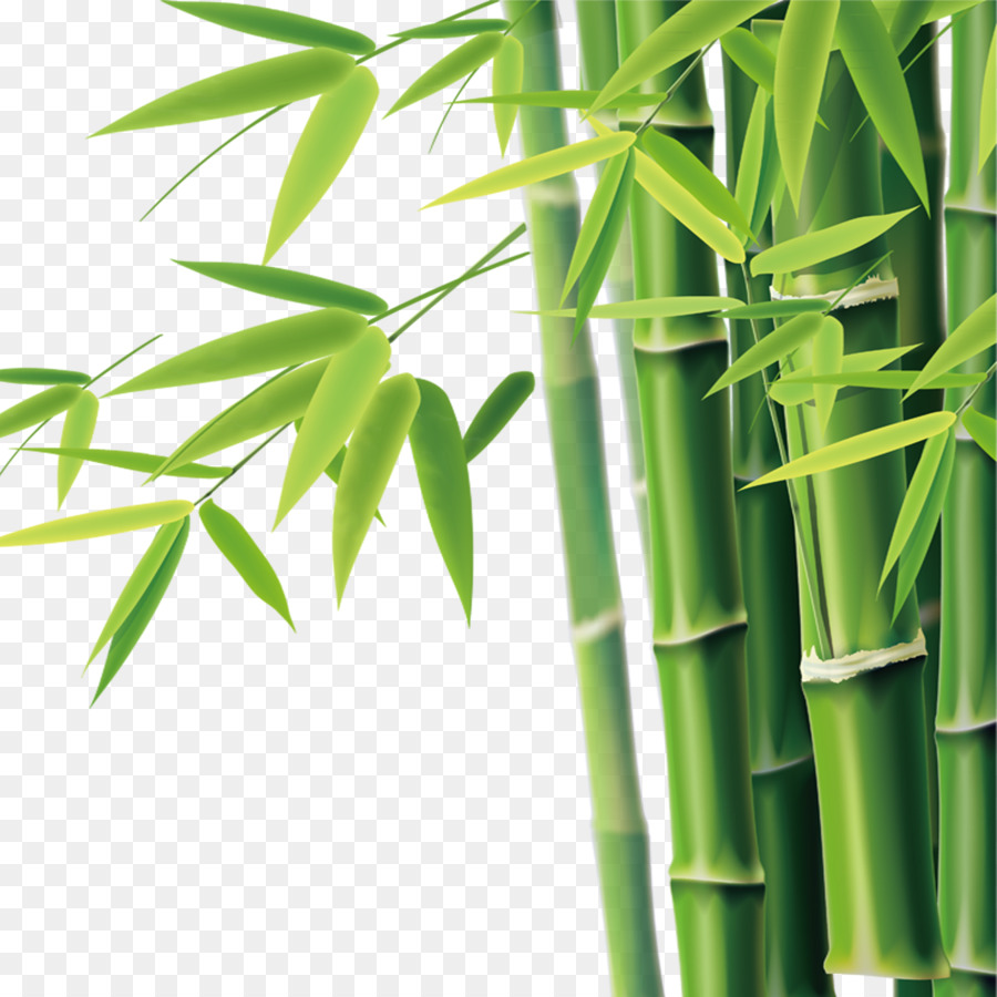 Detail Bambu Vektor Nomer 12