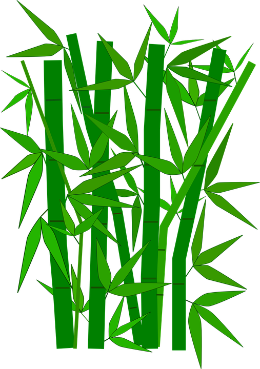 Detail Bambu Vektor Nomer 17