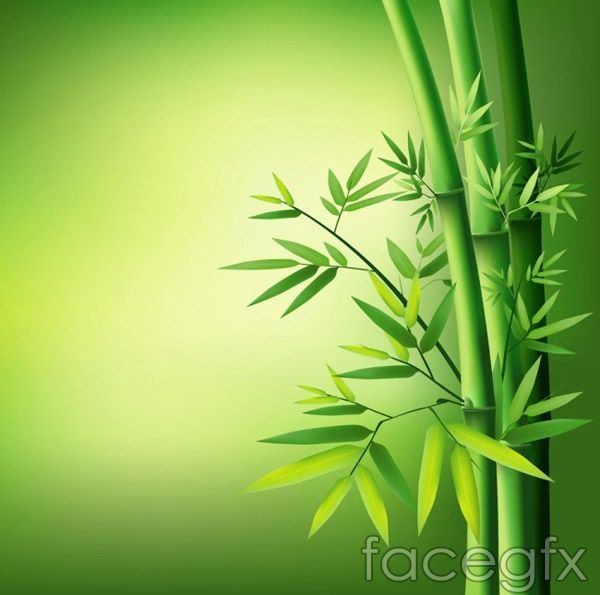 Detail Bambu Vektor Nomer 37