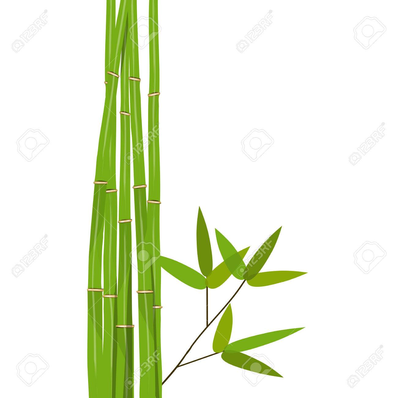 Detail Bambu Vektor Nomer 46