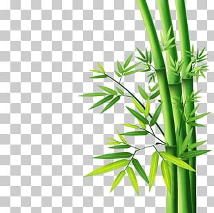Detail Bambu Vektor Png Nomer 6