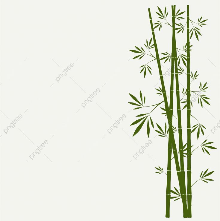 Detail Bambu Vektor Png Nomer 7