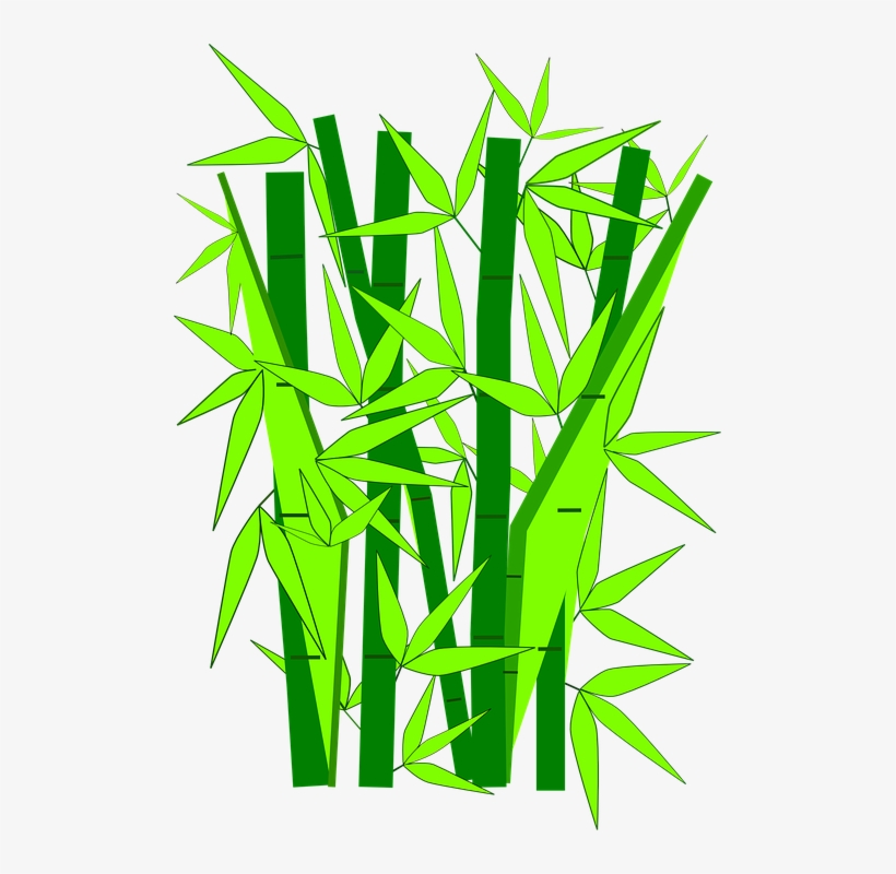 Detail Bambu Vektor Png Nomer 9