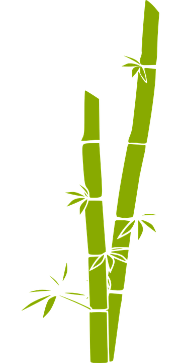 Detail Bambu Vektor Png Nomer 12