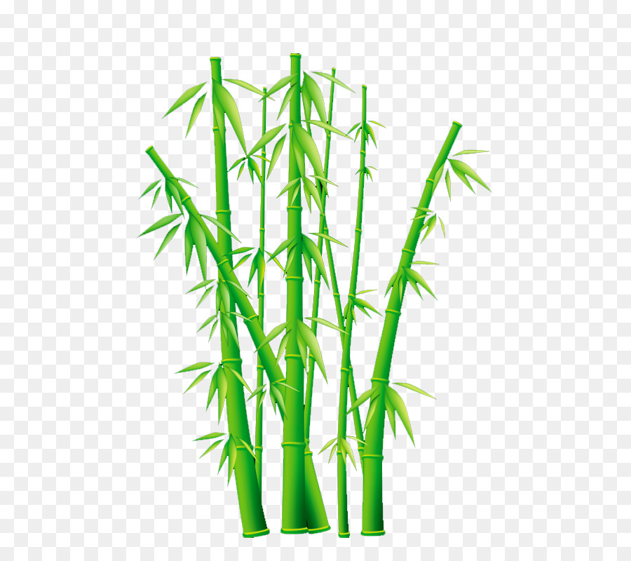 Detail Bambu Vektor Png Nomer 2