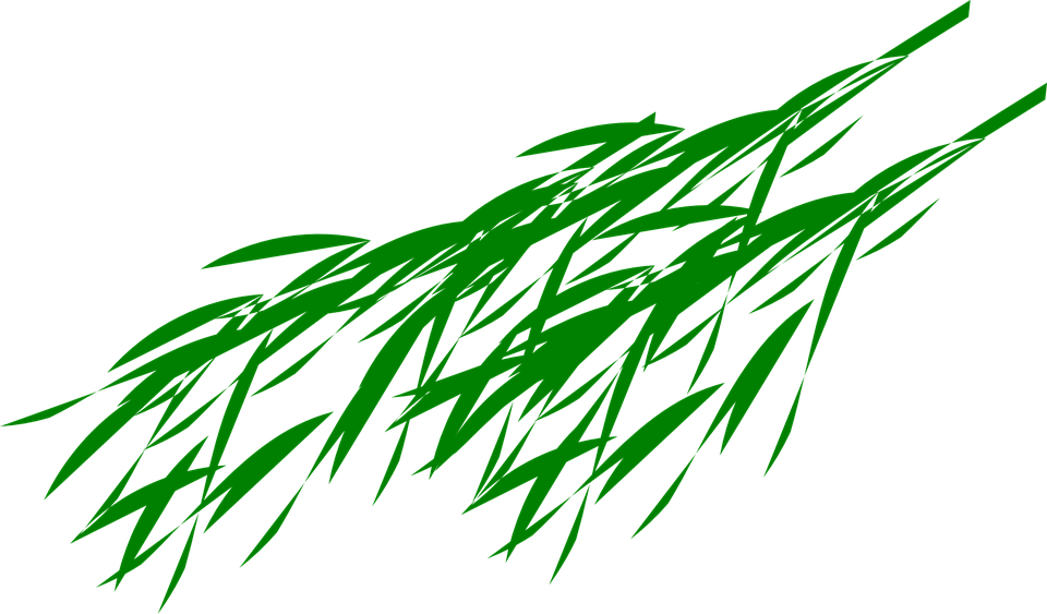 Detail Bambu Vektor Png Nomer 15