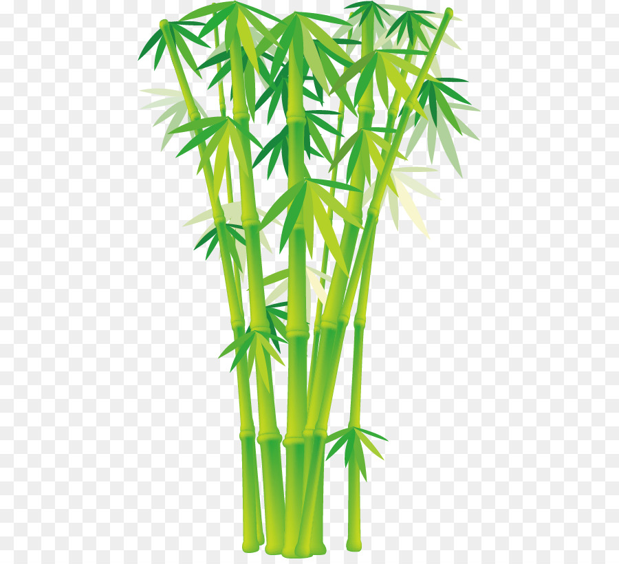 Detail Bambu Vektor Png Nomer 16