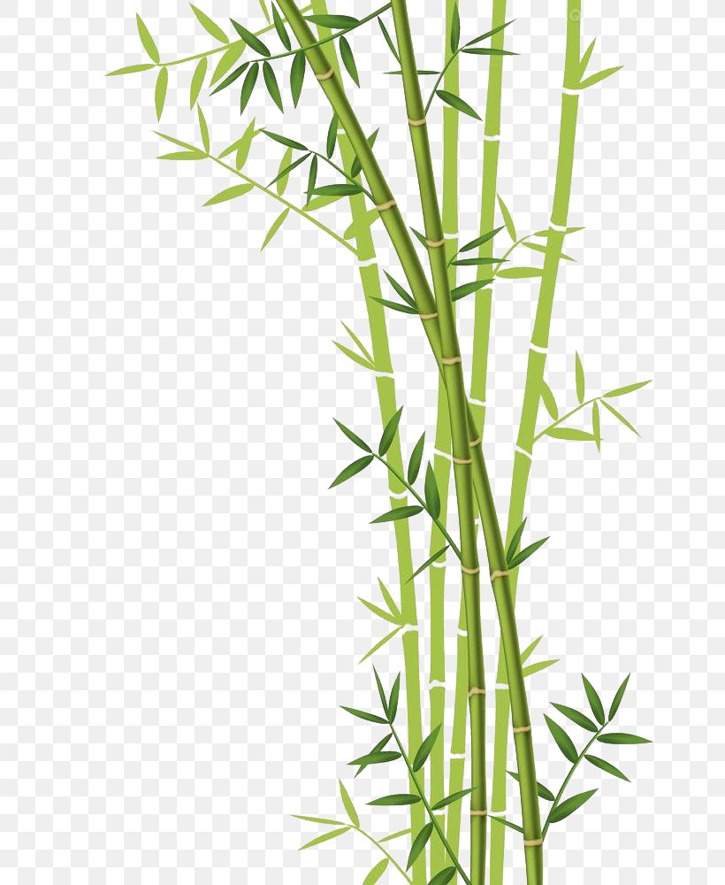 Detail Bambu Vektor Png Nomer 21