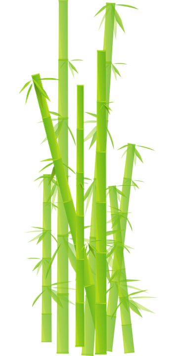 Detail Bambu Vektor Png Nomer 23