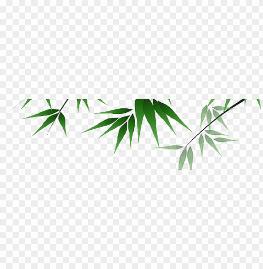Detail Bambu Vektor Png Nomer 24