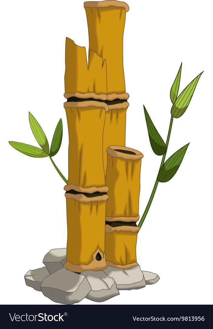 Detail Bambu Vektor Png Nomer 28