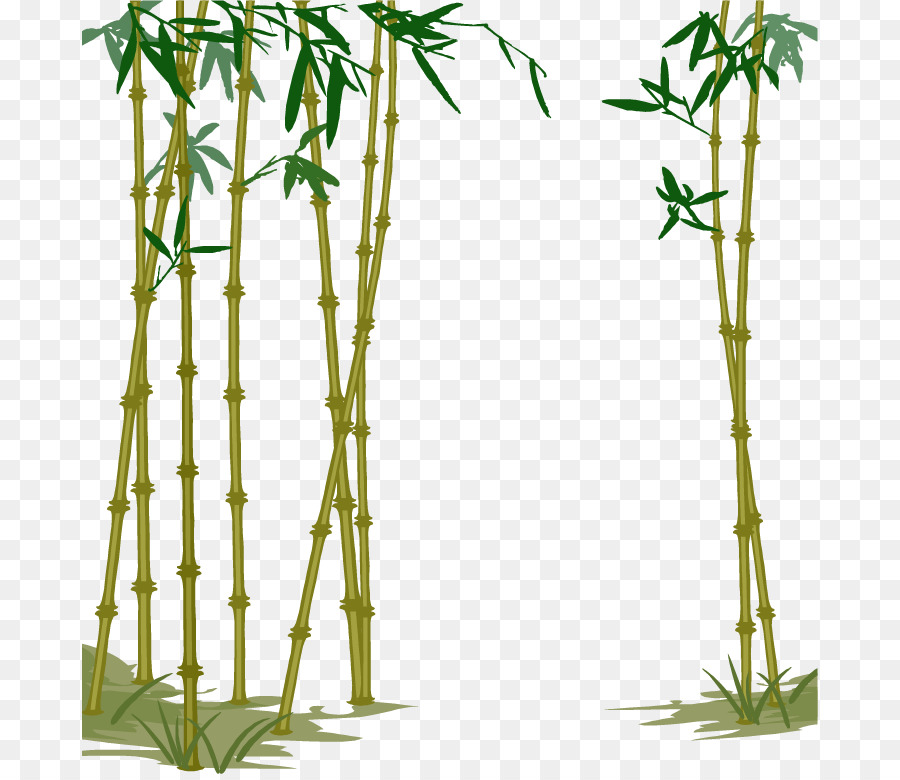 Detail Bambu Vektor Png Nomer 30