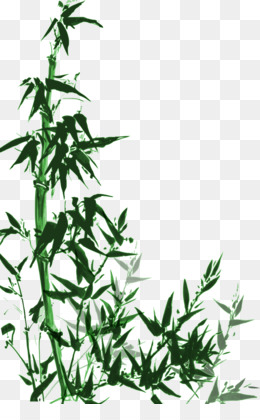 Detail Bambu Vektor Png Nomer 5