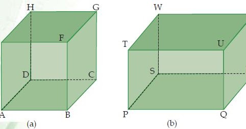 Detail Banyak Rusuk Bangun Ruang Pada Gambar Adalah Nomer 49