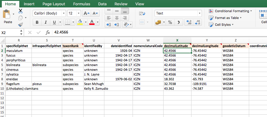 Detail Basic Spreadsheet Template Nomer 5