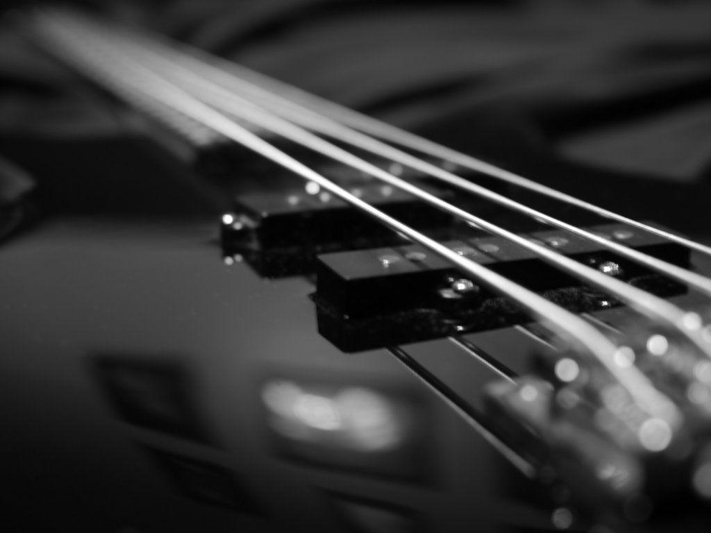 Detail Bass Wallpaper Nomer 29