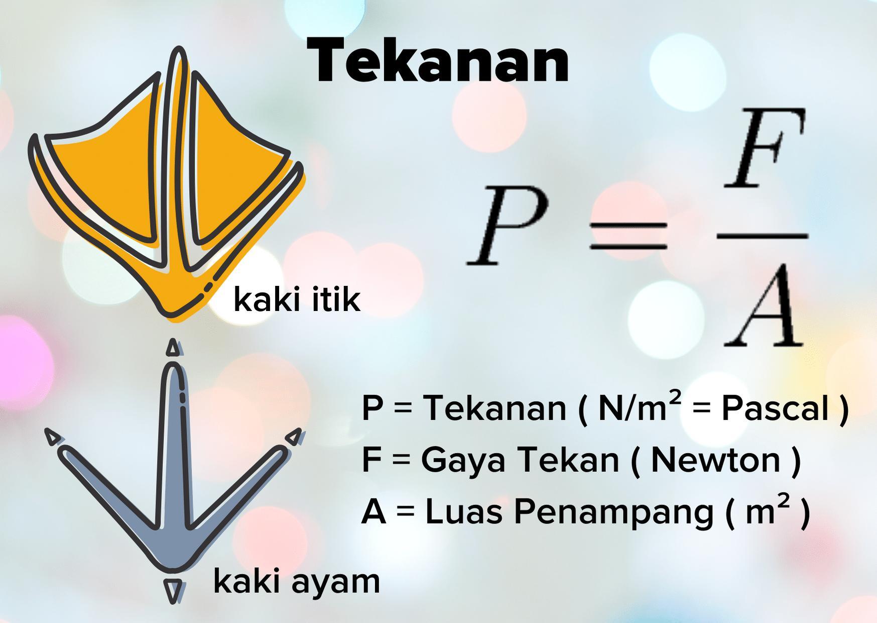 Detail Bebek Kakinya Berapa Nomer 29