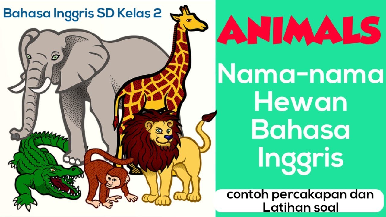 Detail Belajar Bahasa Inggris Hewan Nomer 35