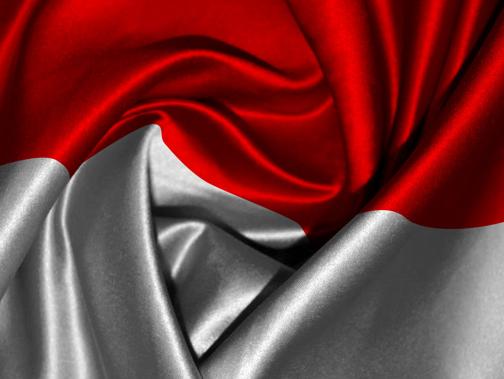 Detail Bendera Merah Putih Template Nomer 46