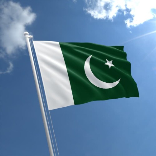 Detail Bendera Negara Pakistan Nomer 4