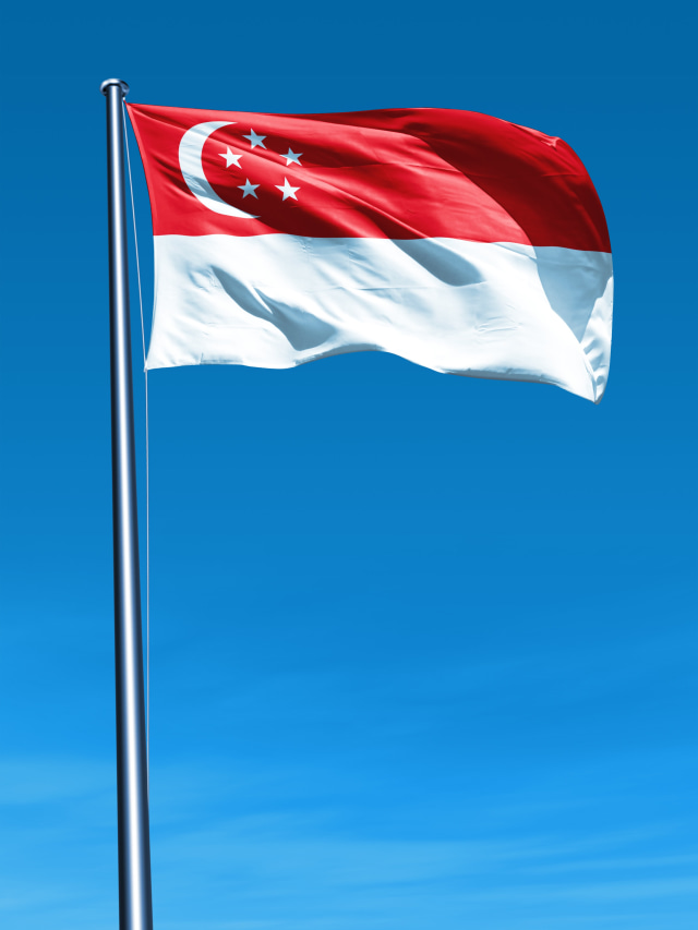 Detail Bendera Singapura Adalah Nomer 17