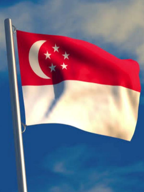 Detail Bendera Singapura Adalah Nomer 19