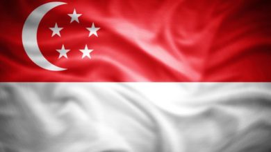 Detail Bendera Singapura Adalah Nomer 7