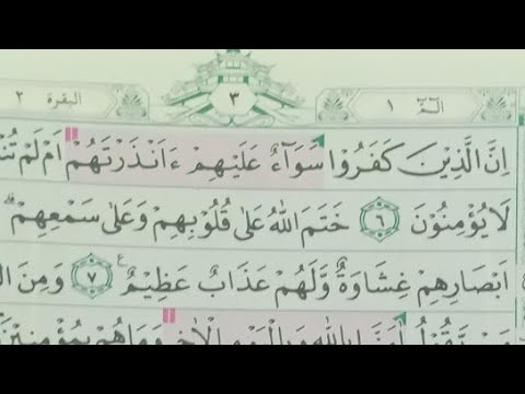 Detail Berapa Ayat Surat Al Baqarah Nomer 25