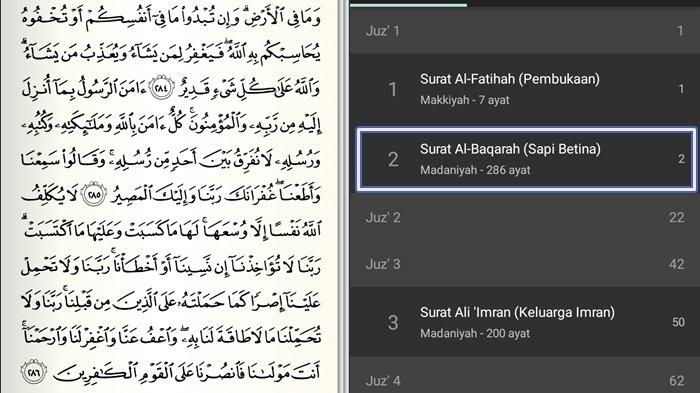 Detail Berapa Ayat Surat Al Baqarah Nomer 39