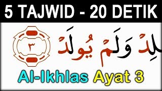 Detail Berapa Ayat Surat Al Ikhlas Nomer 22