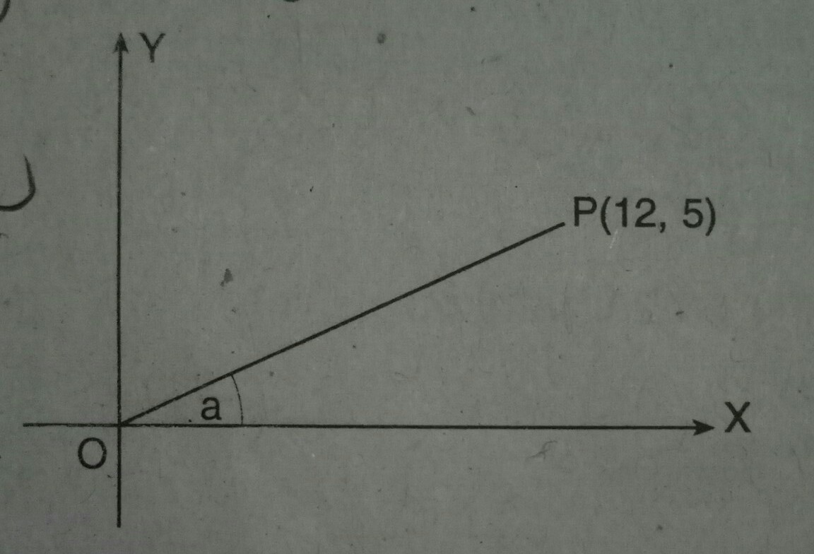 Detail Berdasarkan Gambar Berikut Nilai X Adalah Nomer 26