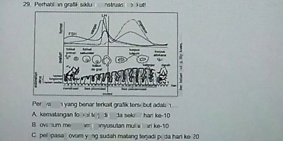 Detail Berdasarkan Gambar Pernyataan Dibawah Ini Yang Tidak Benar Adalah Nomer 55