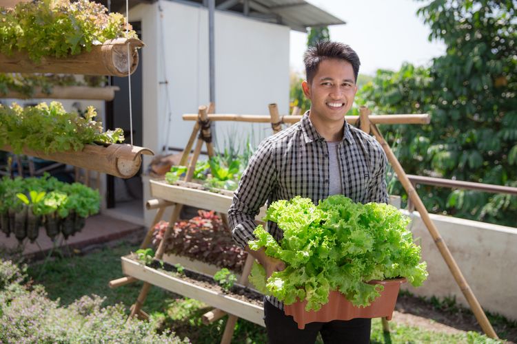 Detail Berkebun Di Rumah Untuk Pemula Nomer 17