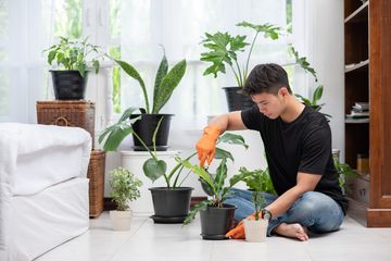 Detail Berkebun Di Rumah Untuk Pemula Nomer 27