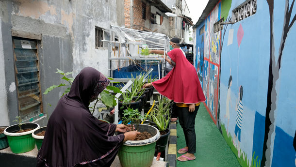 Detail Berkebun Di Rumah Untuk Pemula Nomer 28