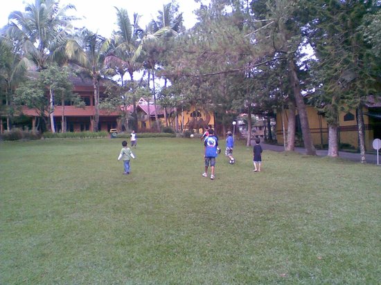 Detail Bermain Bola Di Lapangan Nomer 28