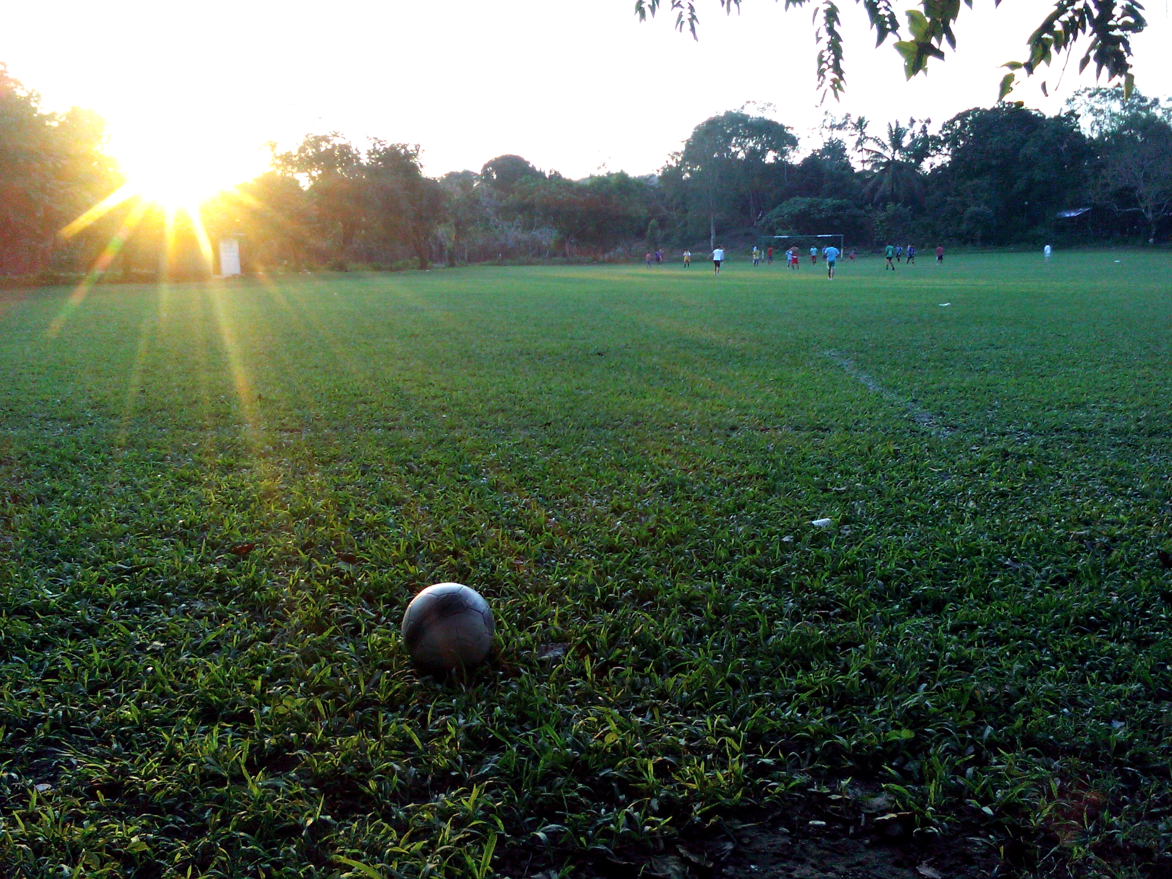 Detail Bermain Bola Di Lapangan Nomer 40