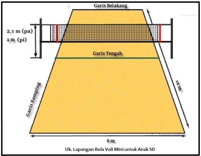 Detail Besar Lapangan Voli Nomer 3