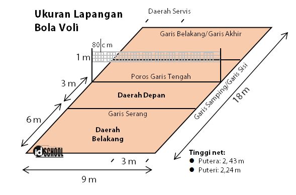 Detail Besar Lapangan Voli Nomer 21