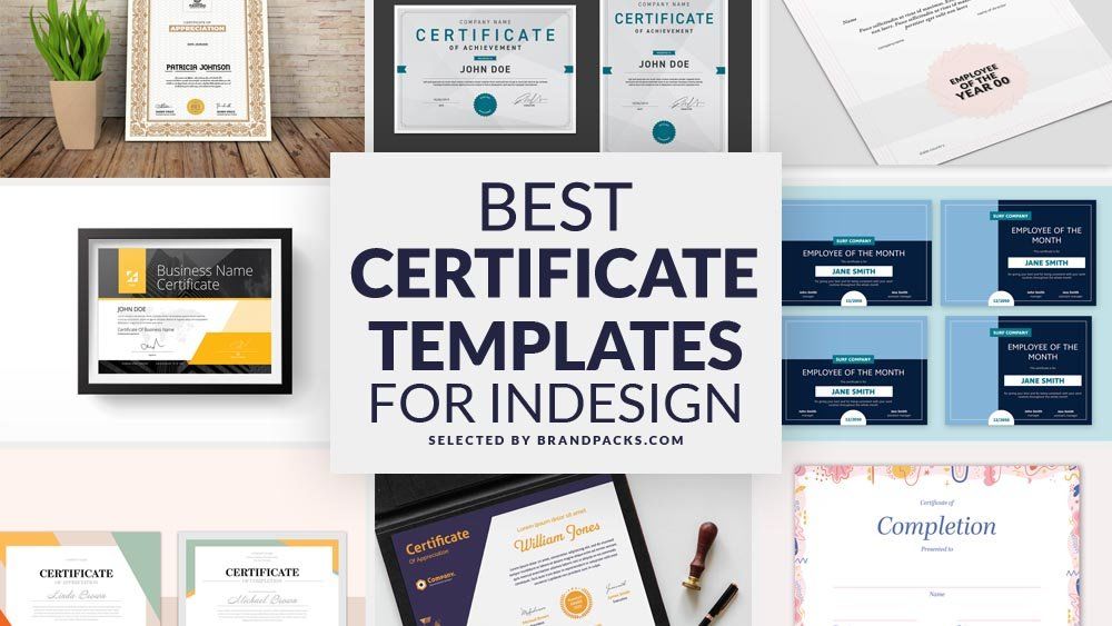 Detail Best Certificate Template Nomer 39