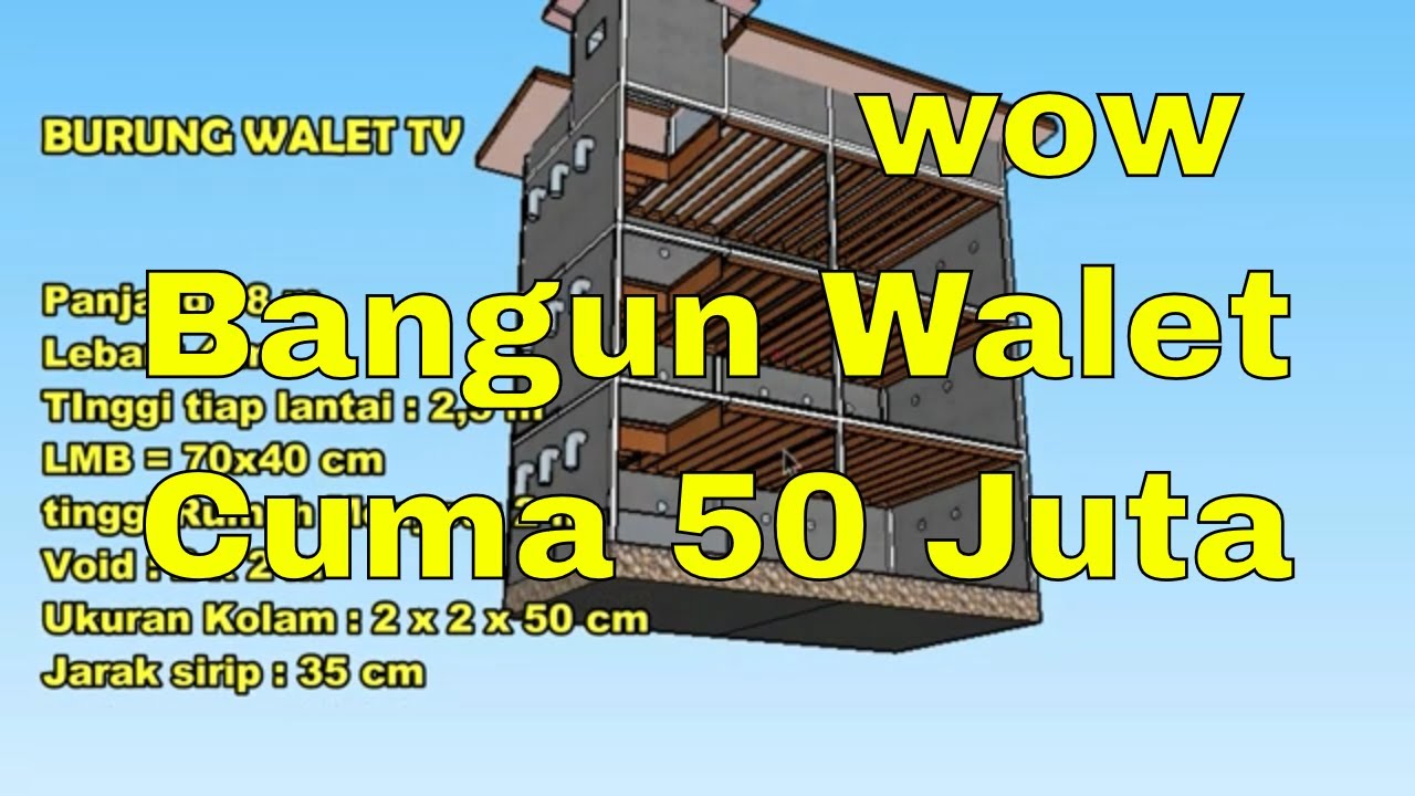 Detail Biaya Pembuatan Rumah Walet 4x8 Nomer 4