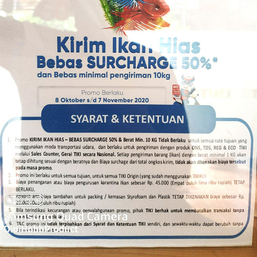Detail Biaya Surat Karantina Hewan Nomer 22
