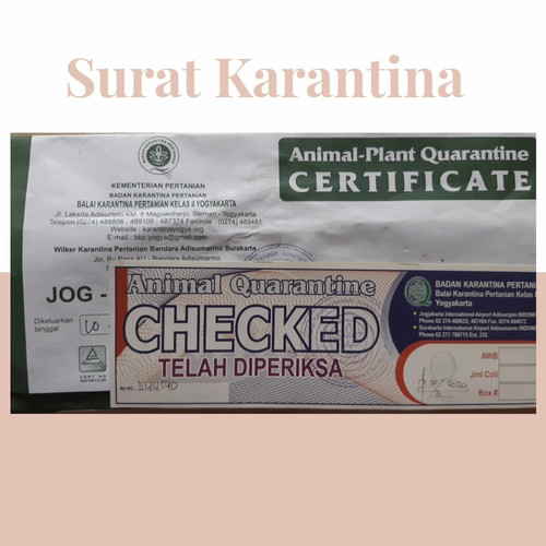 Detail Biaya Surat Karantina Hewan Nomer 4