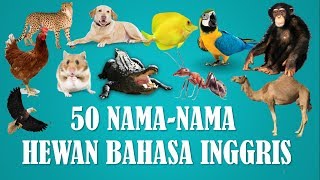 Detail Binatang Kumpulan Nama Dan Gambar Nomer 17
