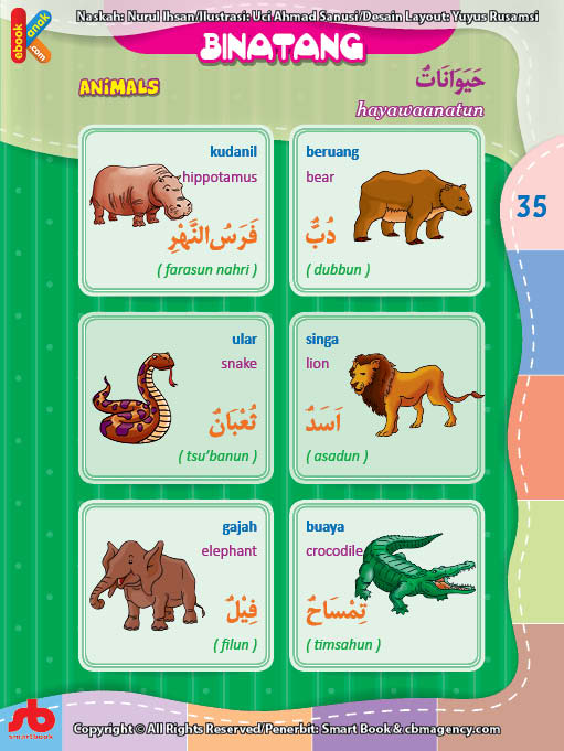 Detail Binatang Kumpulan Nama Dan Gambar Nomer 19