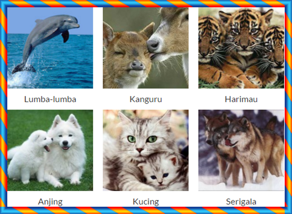 Detail Binatang Kumpulan Nama Dan Gambar Nomer 5