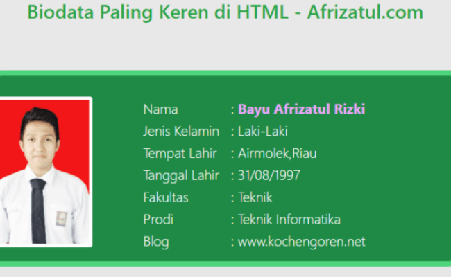Detail Biodata Html Template Koleksi Nomer 30